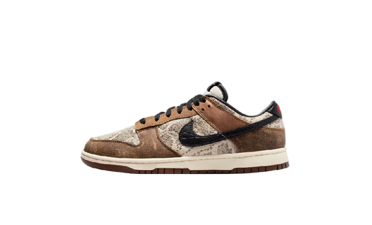 Dunk Low Head to Head